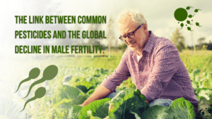 The Link Between Common Pesticides and the Global Decline in Male Fertility.